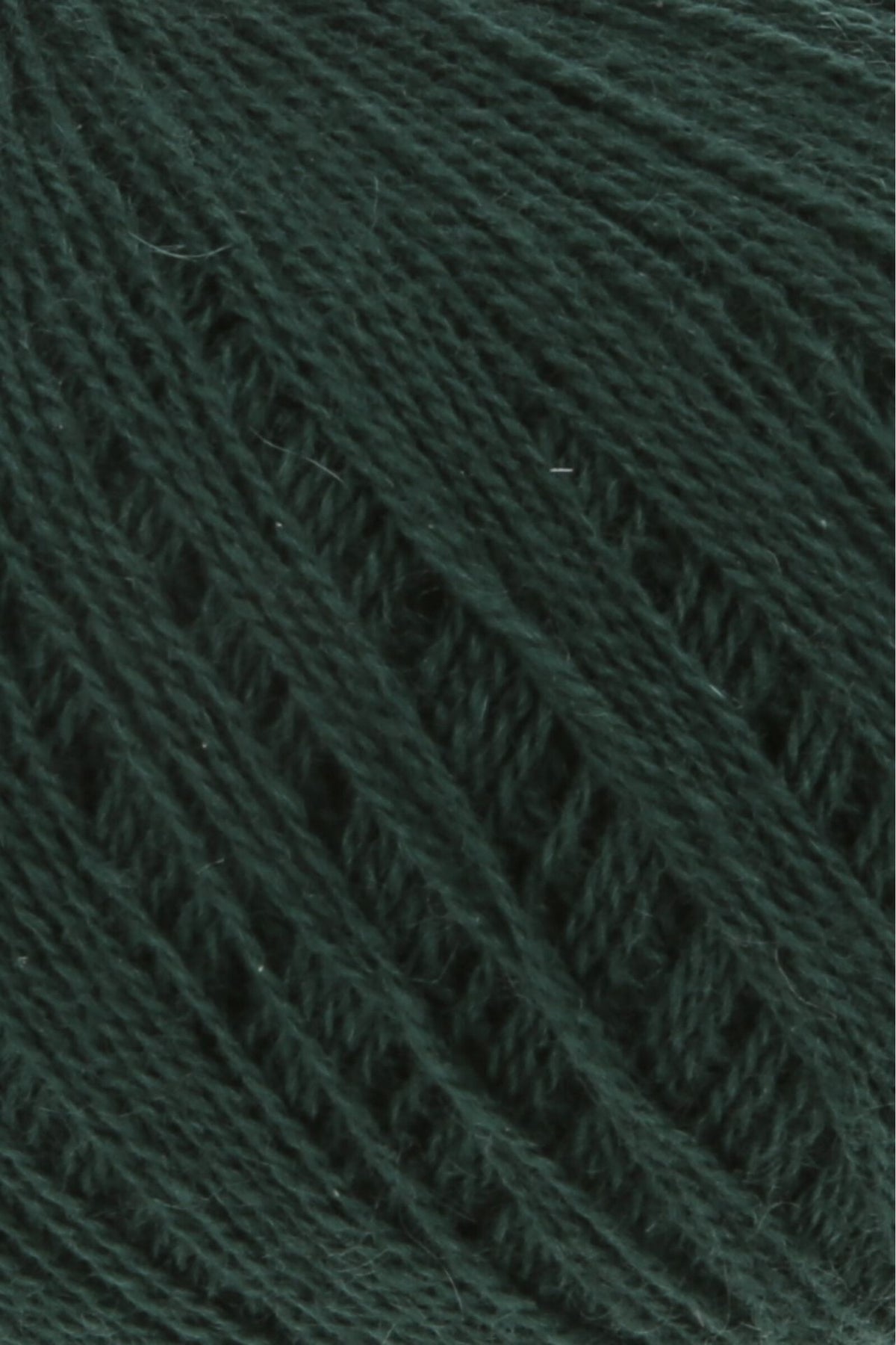 CASHMERE EXTRA LACE