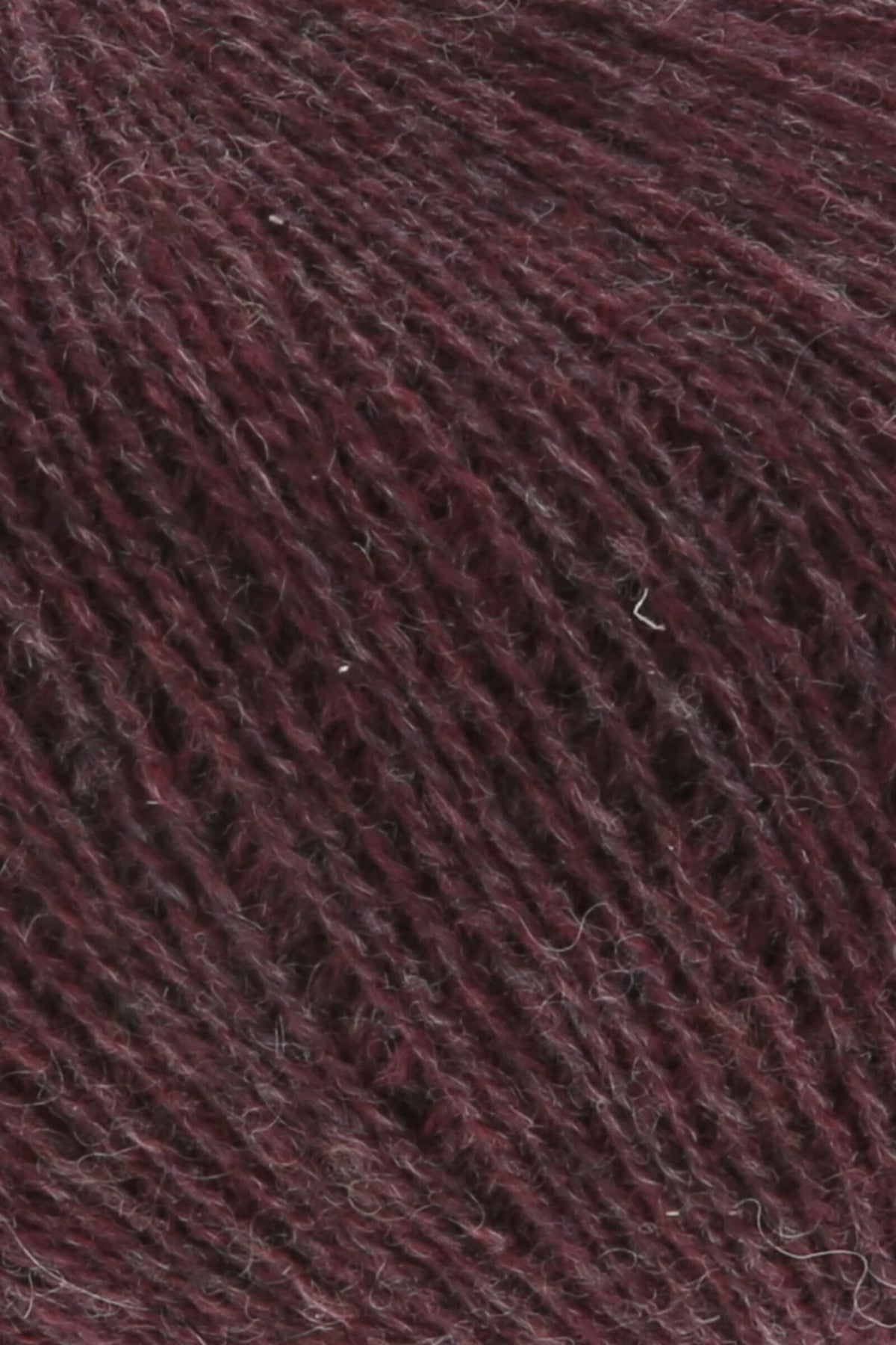CASHMERE EXTRA LACE