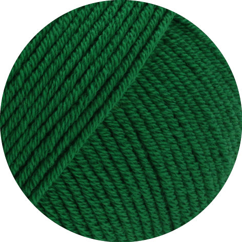 ELASTICO