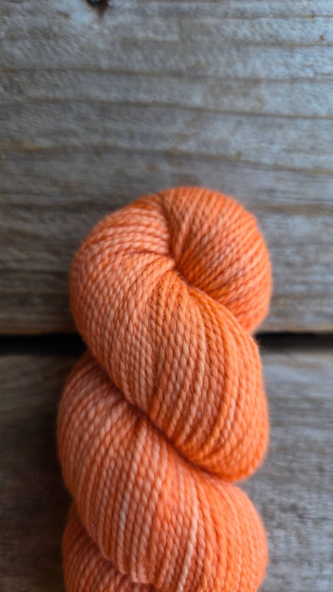 KPM Creamsicle Unifarbene Familie