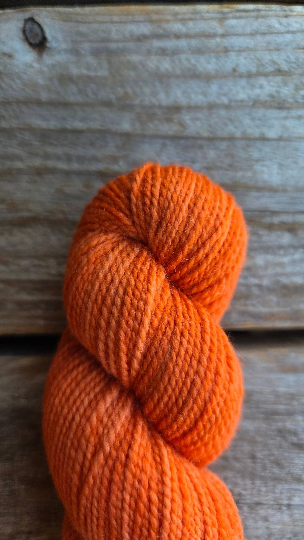 KPM Creamsicle Unifarbene Familie