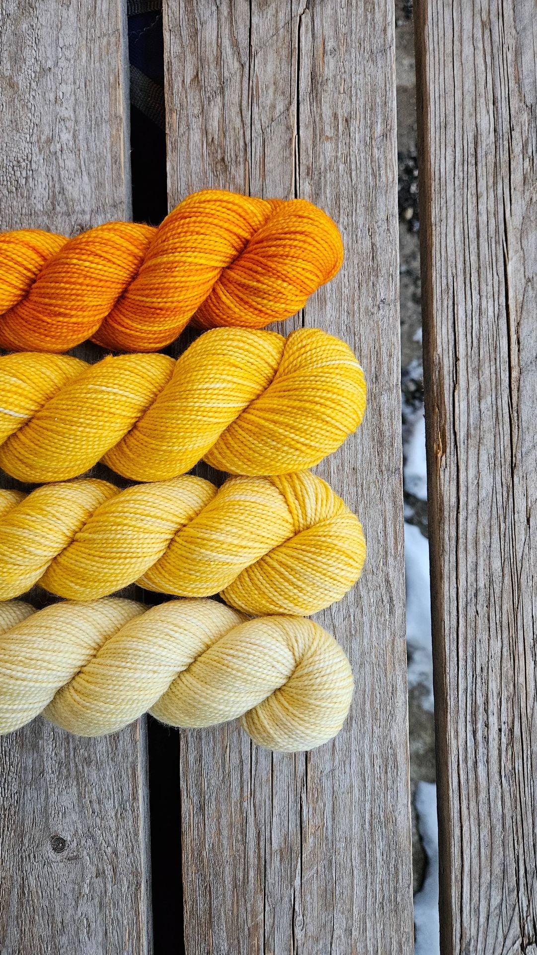 KPM Goldrute Unifarbe Familie