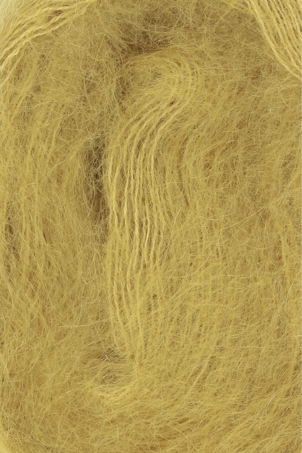LACE