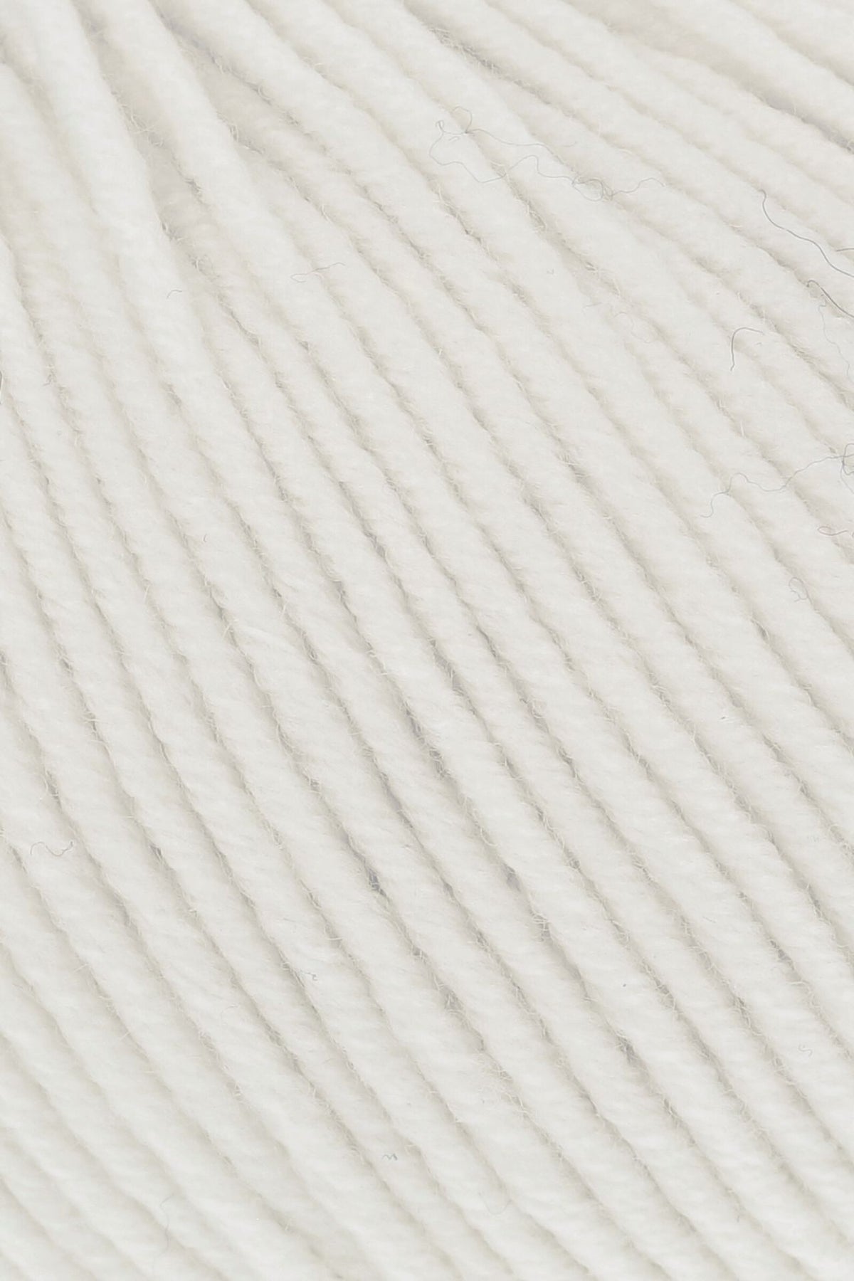 MERINO 120