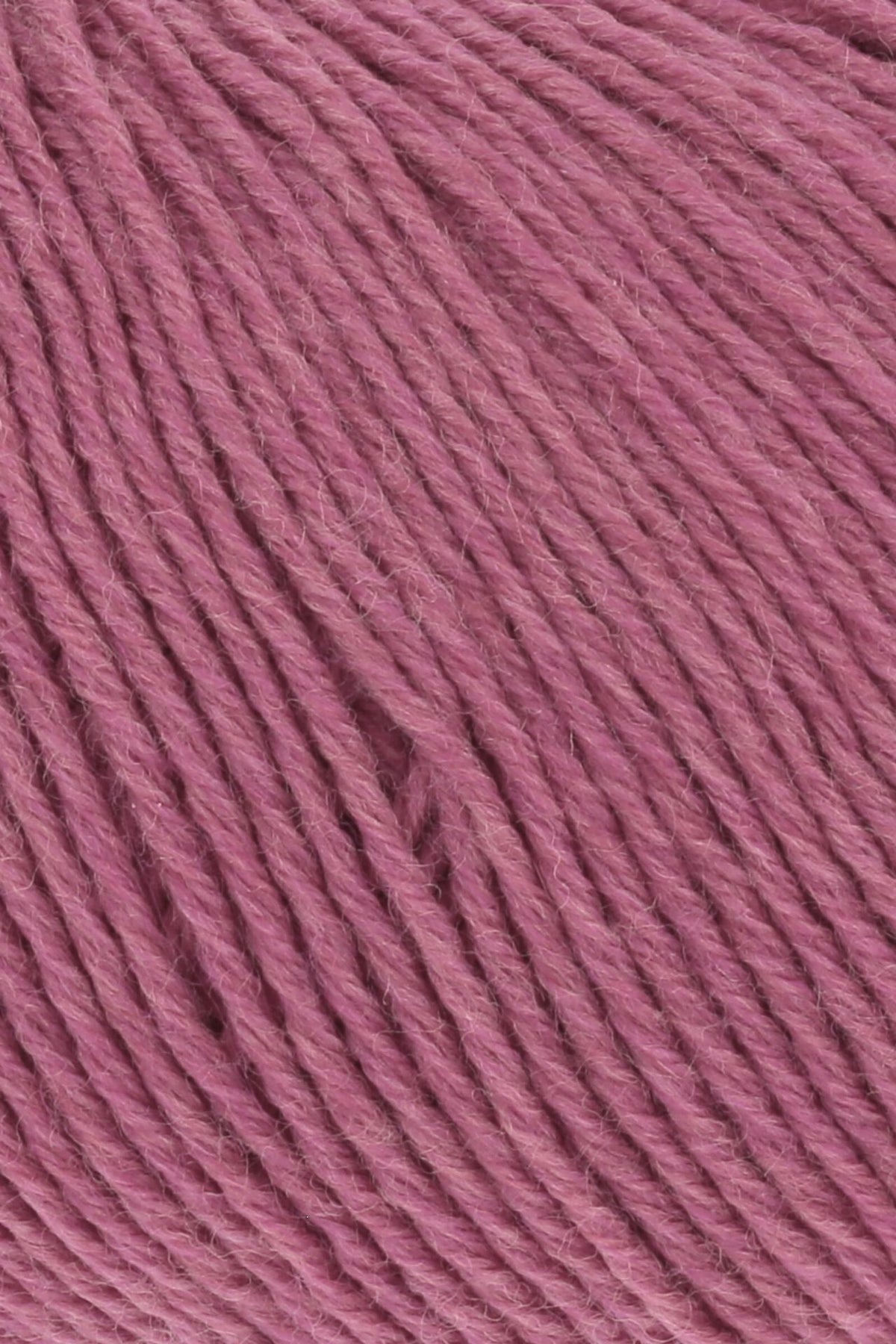 MERINO 150