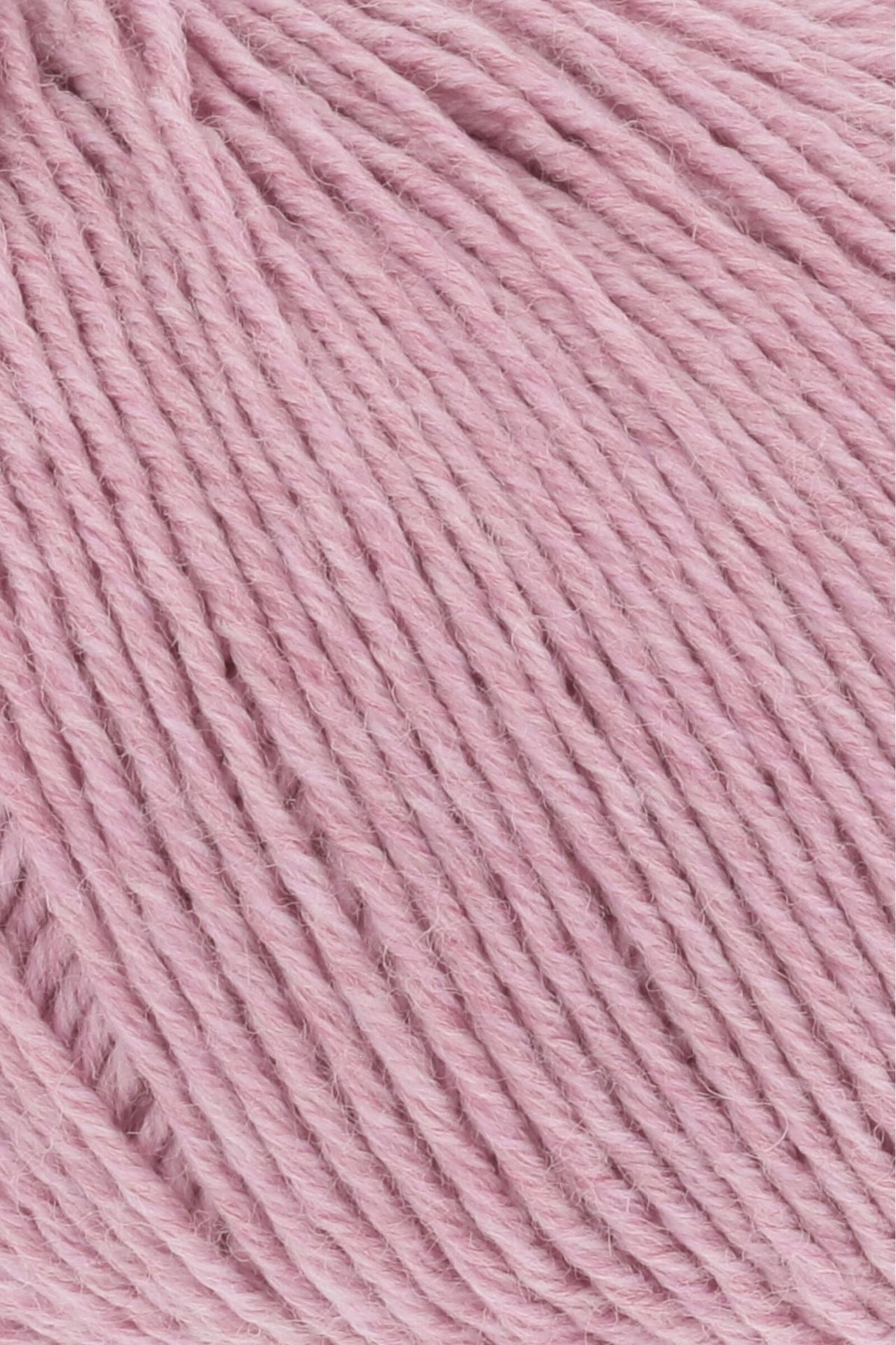 MERINO 150