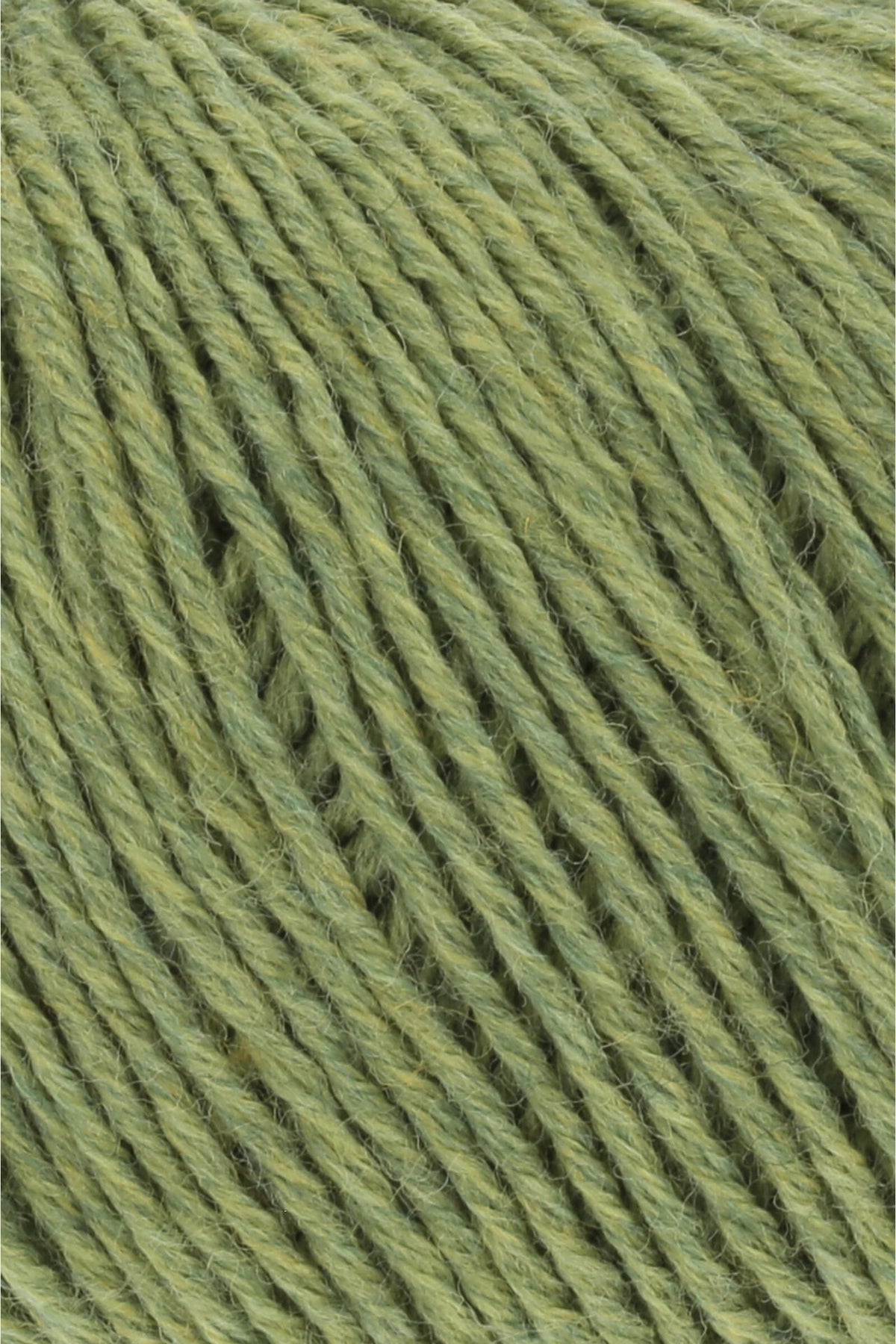 MERINO 150