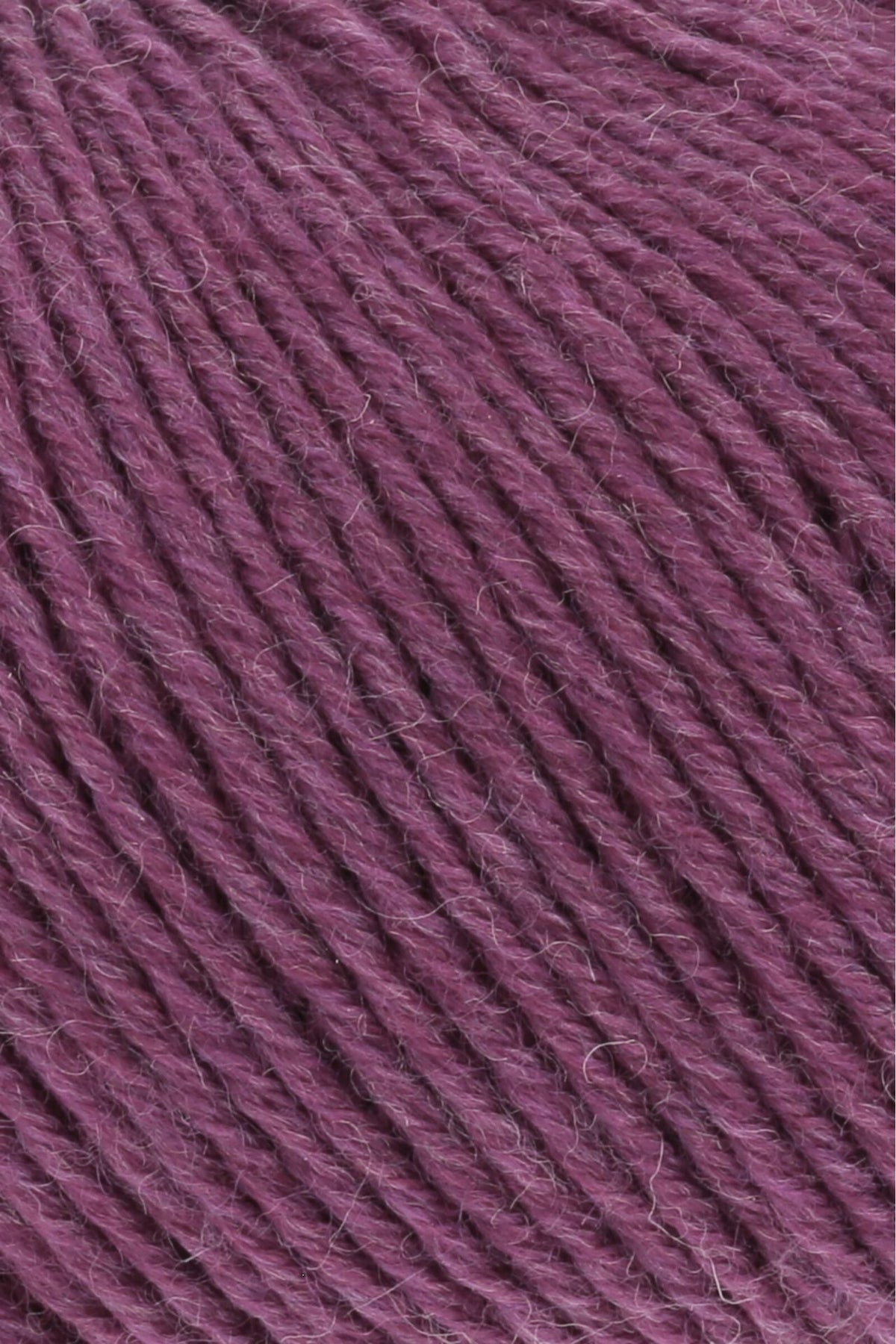 MERINO 150