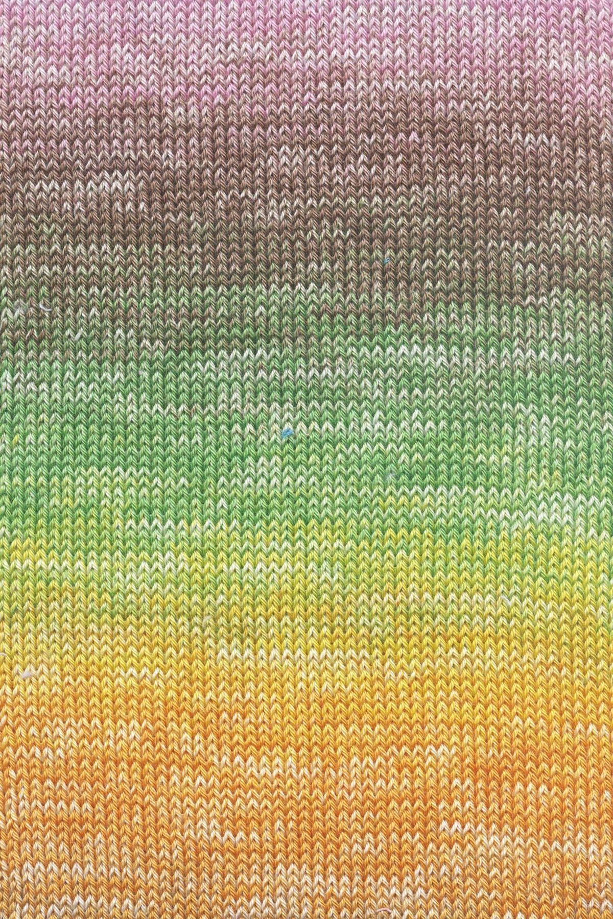QUATTRO DÉGRADÉ