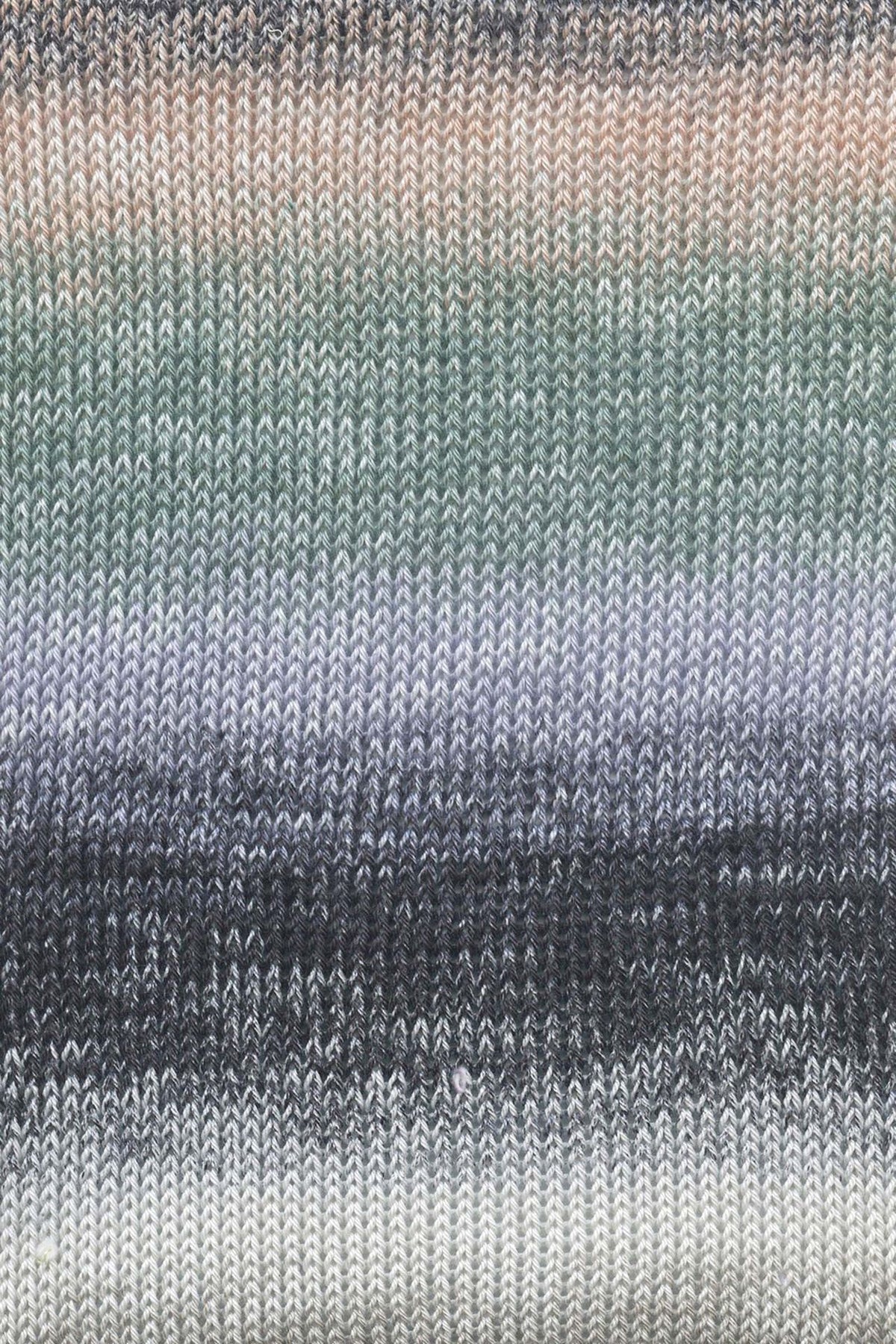 QUATTRO DÉGRADÉ